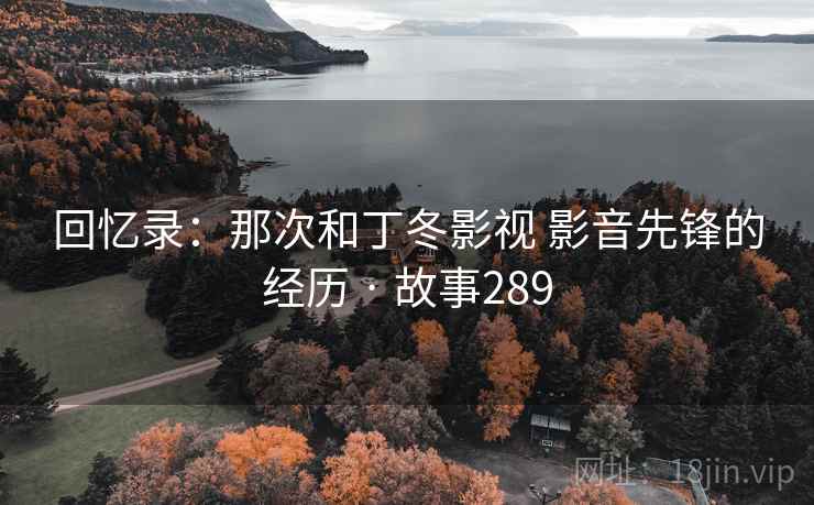 回忆录:那次和丁冬影视 影音先锋的经历 · 故事289